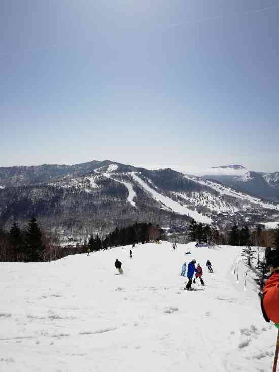 ワンダーランドかたしなレビューキャンペーン