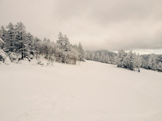 ふかふか|志賀高原 焼額山スキー場のクチコミ画像