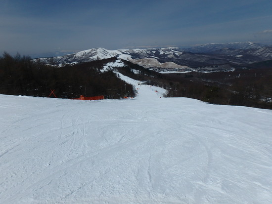 春スキーでも雪質がいい|しらかば2in1スキー場のクチコミ画像