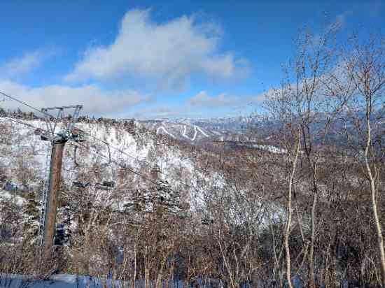 年末のオグナほたか