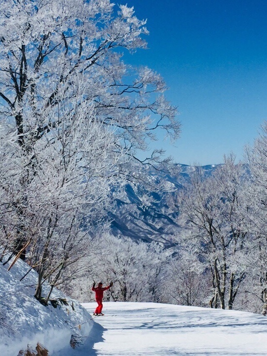 樹氷|会津高原たかつえスキー場のクチコミ画像2