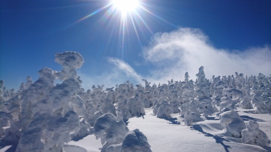 景色最高！|志賀高原 焼額山スキー場のクチコミ画像