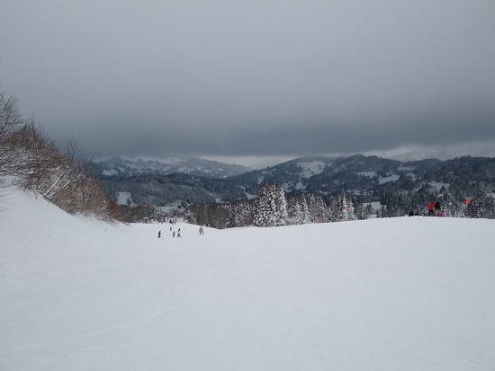 雪質最高|キューピットバレイのクチコミ画像