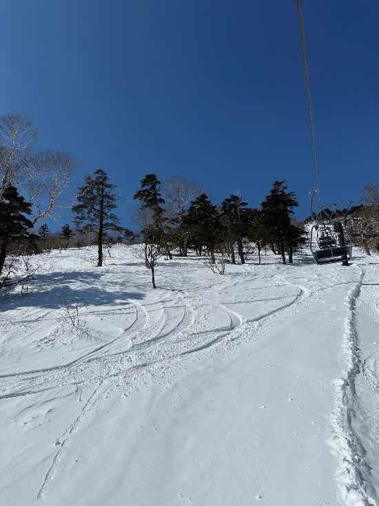 ワンダーランドかたしなレビューキャンペーン
