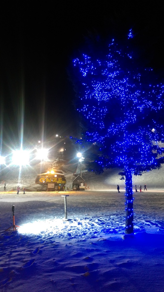 夜景|SNOW CRUISE ONZEのクチコミ画像
