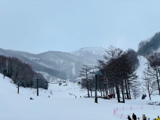 ワンダーランドかたしなレビューキャンペーン|オグナほたかスキー場のクチコミ画像2