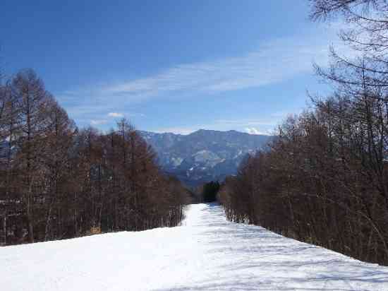 晴天の中|かたしな高原スキー場のクチコミ画像