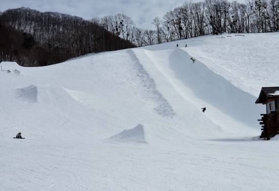 ワンダーランドかたしなレビューキャンペーン