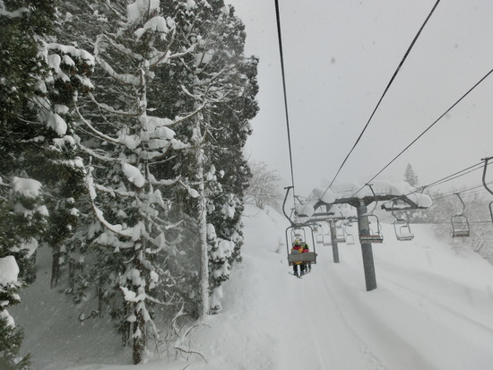 雪降りました|上越国際スキー場のクチコミ画像