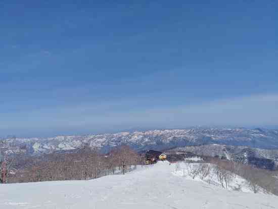 25-26ズンアウト