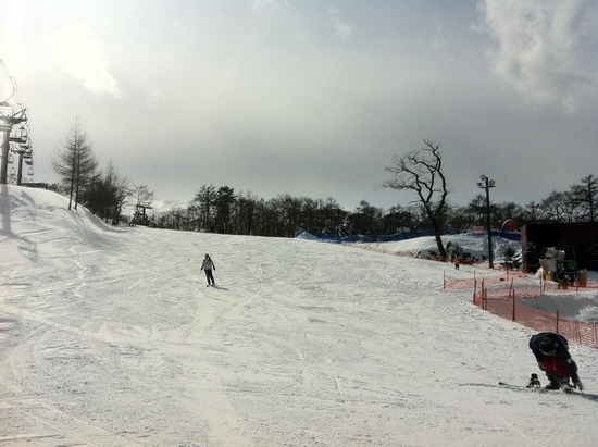パンダルマン レッスン 軽井沢プリンスホテルスキー場 口コミ レビュー スキー場情報サイト Surf Snow パンダルマン レッスン 軽井沢プリンスホテルスキー場 口コミ レビュー スキー場情報サイト Surf Snow