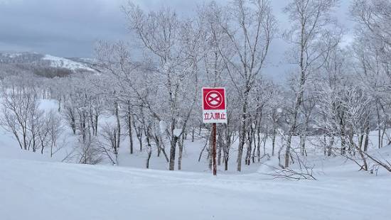 ツリーラン|ルスツリゾートのクチコミ画像2