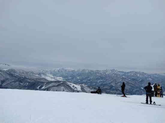 ワンダーランドかたしなレビューキャンペーン