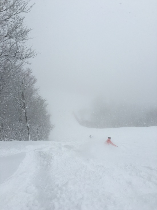 遅いハツスベリ|Hakuba47 ウインタースポーツパークのクチコミ画像