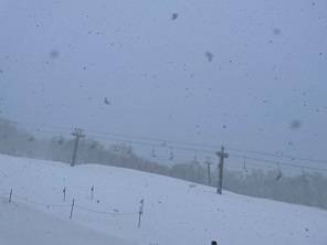 今年は積雪多い年でした|Hakuba47 ウインタースポーツパークのクチコミ画像