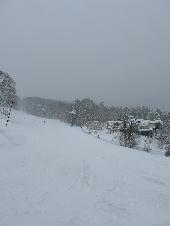 想像以上の積雪量に驚愕|妙高杉ノ原スキー場のクチコミ画像