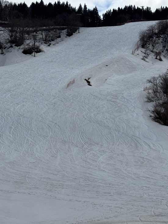 小国町横根スキー場のフォトギャラリー1