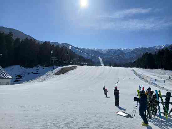 花粉が…|のクチコミ画像