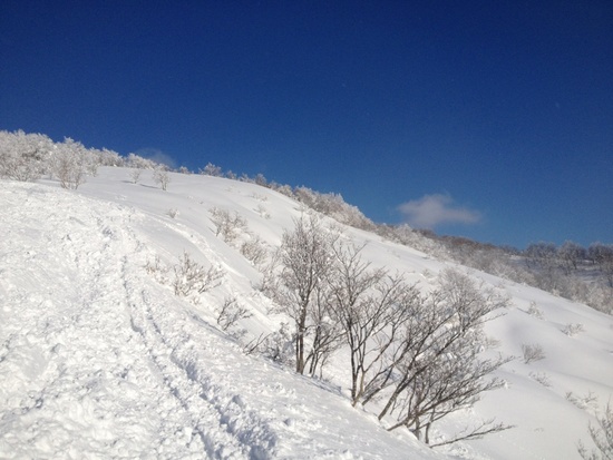 やっぱりジャム勝|スキージャム勝山のクチコミ画像