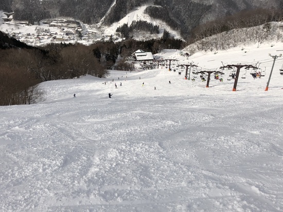 パウダーの奥利根！|奥利根スノーパークのクチコミ画像3