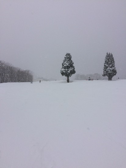 混んでるけど、雪は最高|のクチコミ画像