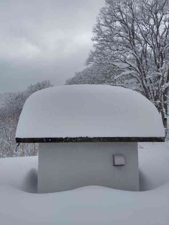 雪❄️|野沢温泉スキー場のクチコミ画像