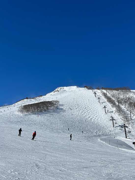 最高の天気でした|白馬八方尾根スキー場のクチコミ画像3