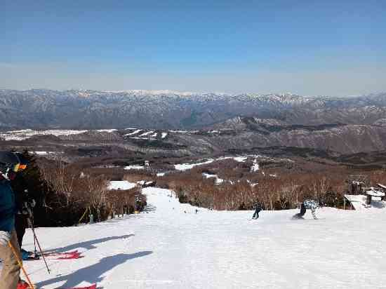 行くなら絶対平日