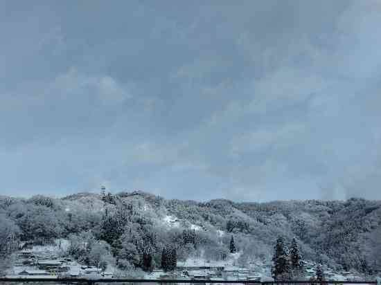 ワンダーランドかたしなレビューキャンペーン