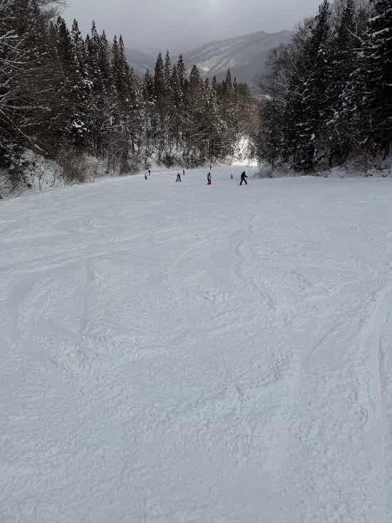 楽しく滑れます|かたしな高原スキー場のクチコミ画像