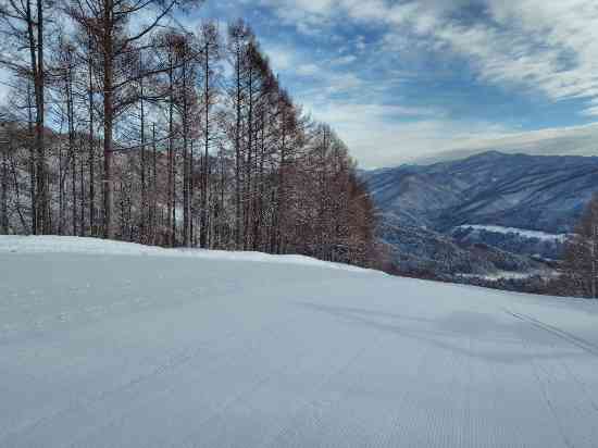 ワンダーランドかたしなレビューキャンペーン|かたしな高原スキー場のクチコミ画像