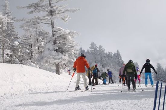 快晴スキー日和|志賀高原 焼額山スキー場のクチコミ画像
