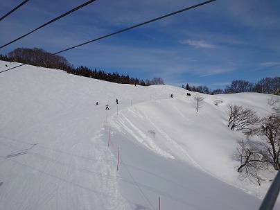 緩斜面が多いと思っていたが|岩原スキー場のクチコミ画像1