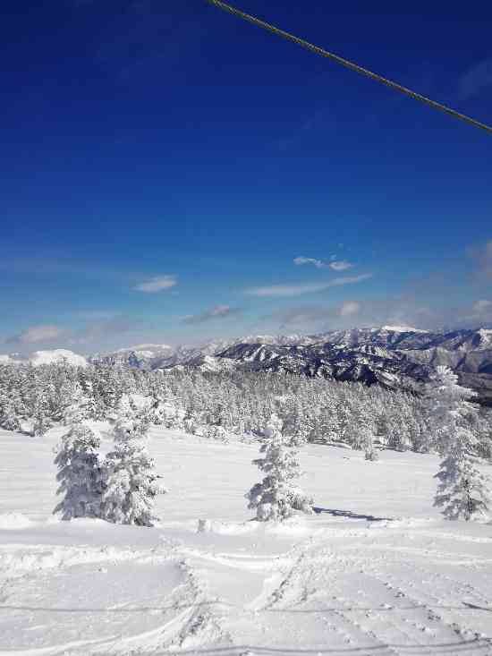 ワンダーランドかたしなレビューキャンペーン|スノーパーク尾瀬戸倉のクチコミ画像