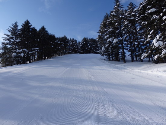 シニアの方が多かったです|ブランシュたかやまスキーリゾートのクチコミ画像