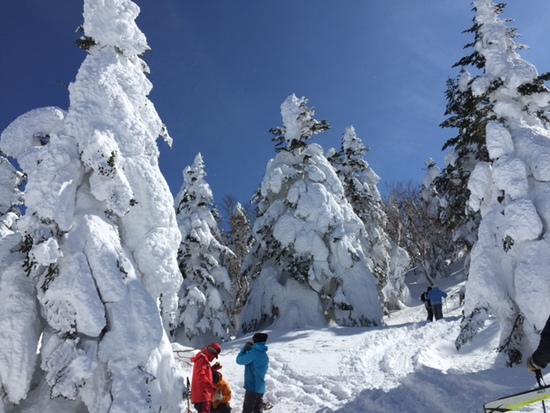 スノーキャット|菅平高原スノーリゾートのクチコミ画像3