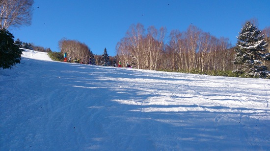 いい雪|志賀高原 焼額山スキー場のクチコミ画像