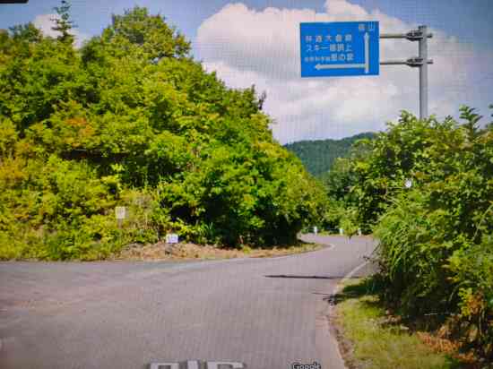 ブッシュ|須原スキー場のクチコミ画像2