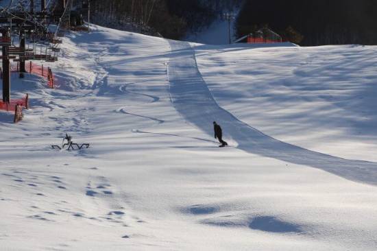 ワンダーランドかたしなレビューキャンペーン