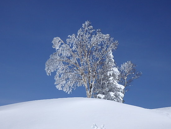 雪一色|のクチコミ画像