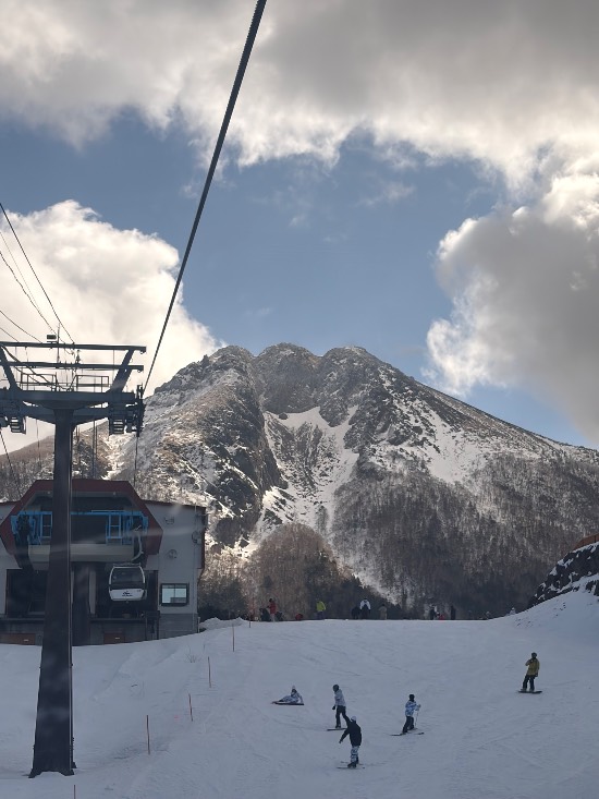 ワンダーランドかたしなレビューキャンペーン