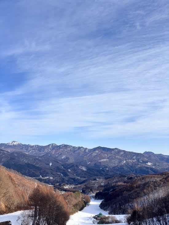 ワンダーランドかたしなレビューキャンペーン|のクチコミ画像