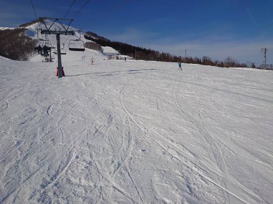 緩やかな斜面がメインのスキー場|岩原スキー場のクチコミ画像