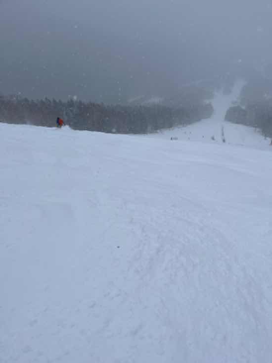 圧雪してるのかな？