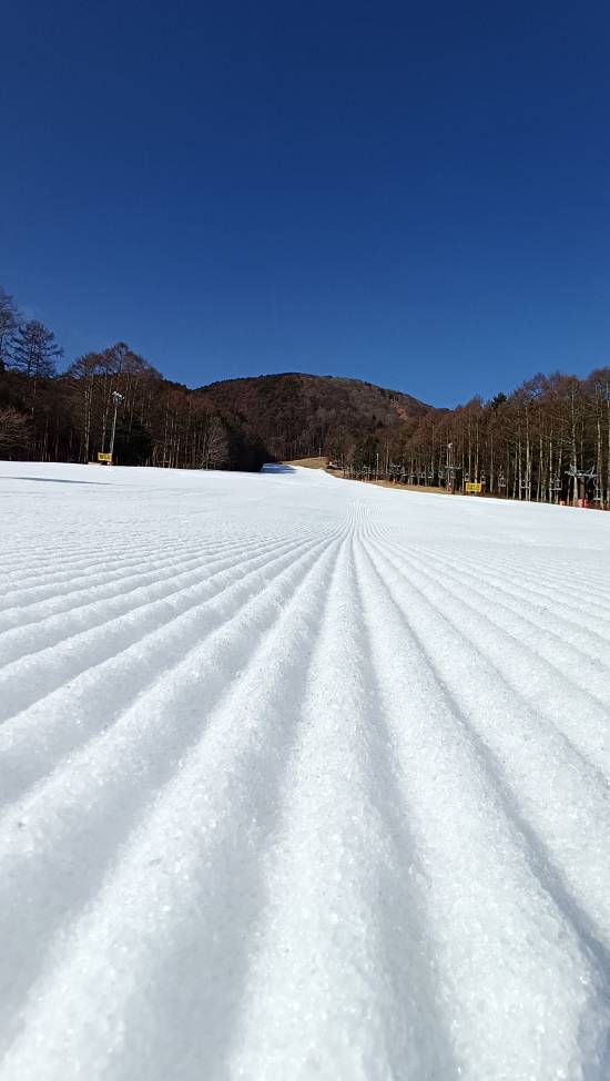 陽当たり良好で春スキー