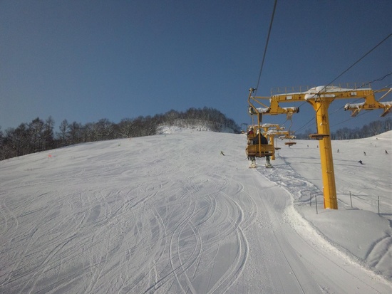 最高のパウダースノー！|朝里川温泉スキー場のクチコミ画像