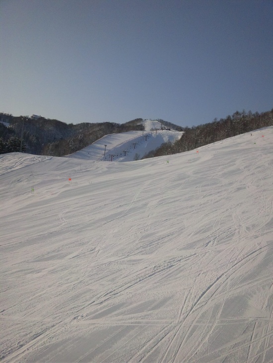 最高のパウダースノー！|朝里川温泉スキー場のクチコミ画像2
