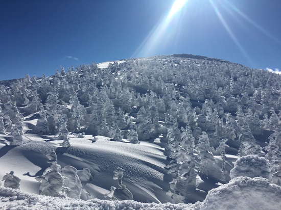 本州とは思えない最高の雪質、樹氷、温泉|蔵王温泉スキー場のクチコミ画像2