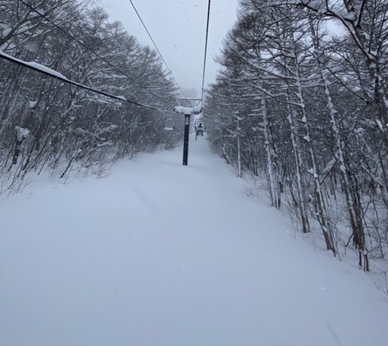 最高の雪質|みやぎ蔵王白石スキー場のクチコミ画像