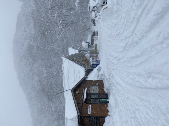 雪多し|かぐらスキー場のクチコミ画像